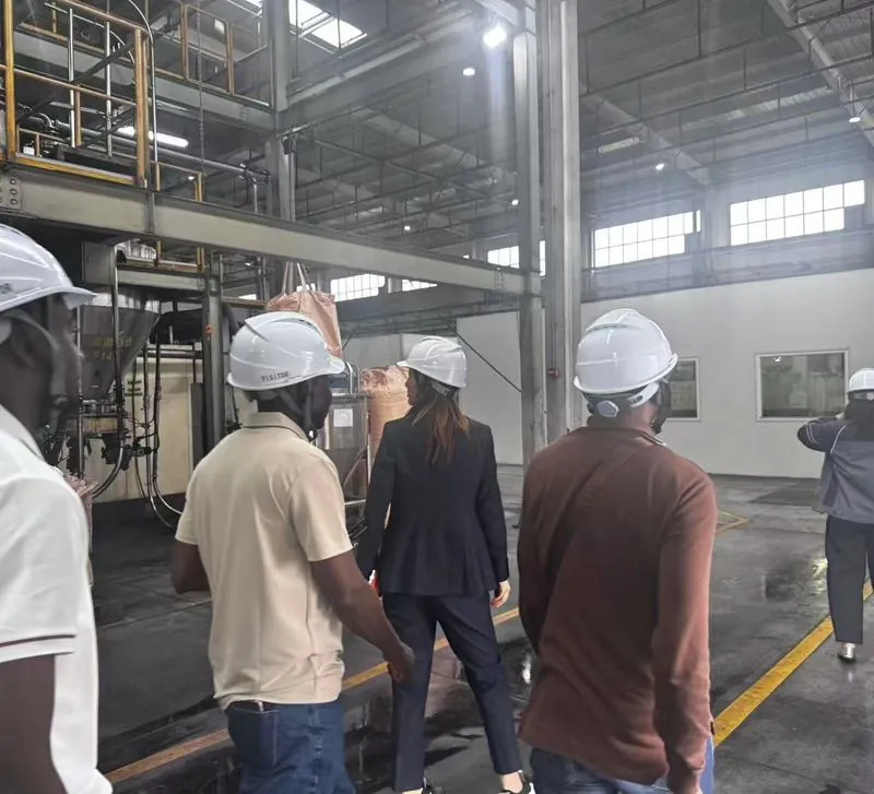 Ilford staff in white hard hats on a tour of a factory floor